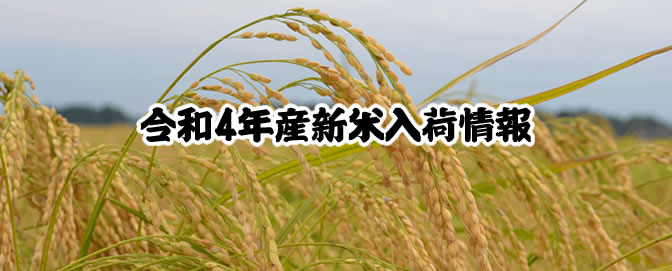 令和４年産新米入荷情報