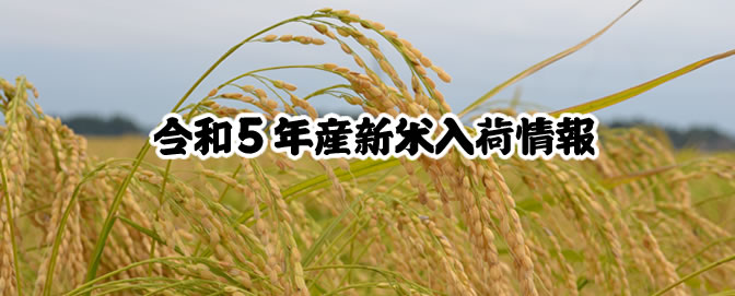 令和5年産新米入荷情報