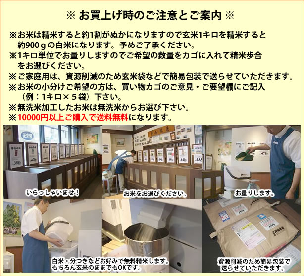 富山県産コシヒカリ | お米の通販 片山米店