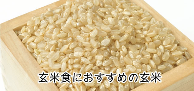 玄米食