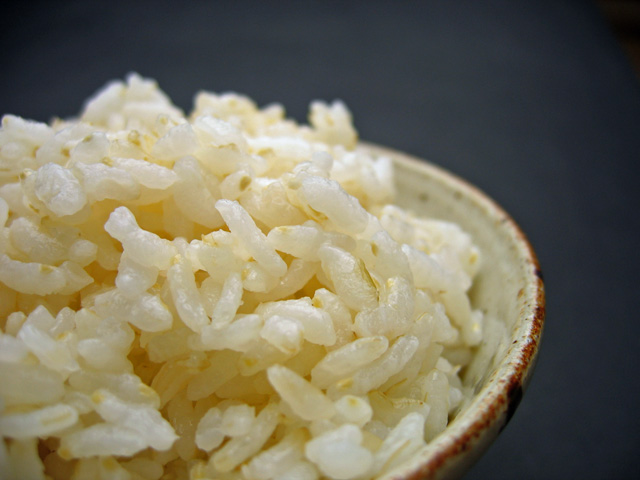 胚芽米ごはんの米粒
