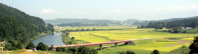 鮭川村の田んぼ