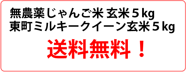 送料無料
