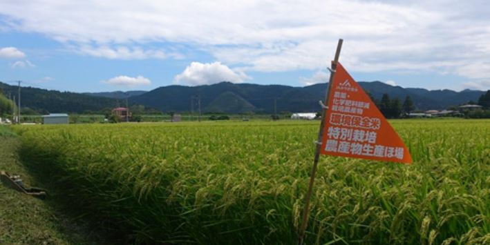 登米環境保全米田んぼ