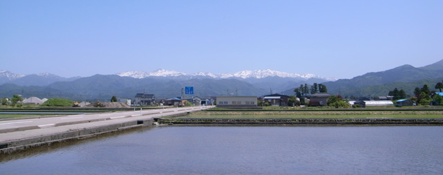 富山県の田んぼ